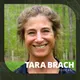 Tara Brach artwork