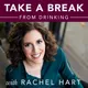 Take a Break from Drinking artwork