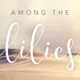 Among The Lilies artwork
