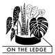 On The Ledge | Grow houseplants with the experts artwork