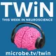 This Week in Neuroscience artwork