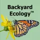 Backyard Ecology™ artwork