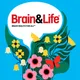Brain & Life artwork