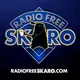 Doctor Who: Radio Free Skaro artwork