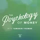 The Psychology of Money artwork