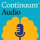 Continuum Audio artwork