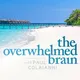 The Overwhelmed Brain artwork