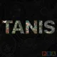 TANIS artwork