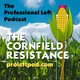 The Professional Left Podcast with Driftglass and Blue Gal artwork