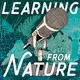 Learning from Nature: The Biomimicry Podcast with Lily Urmann artwork