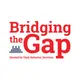 Bridging The Gap artwork