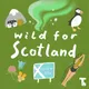 Wild for Scotland Podcast artwork