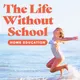 The Life Without School Podcast artwork