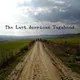 The Last American Vagabond artwork