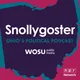 Snollygoster artwork