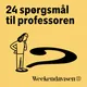 24 spørgsmål til professoren artwork