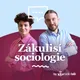 Zákulisí sociologie artwork