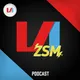 VI ZSM artwork
