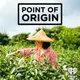 Point of Origin artwork
