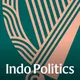 Indo Politics artwork