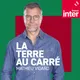 La Terre au carré artwork