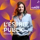 L'Esprit public artwork