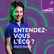 Entendez-vous l'éco ? artwork