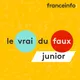 Le vrai ou faux junior artwork